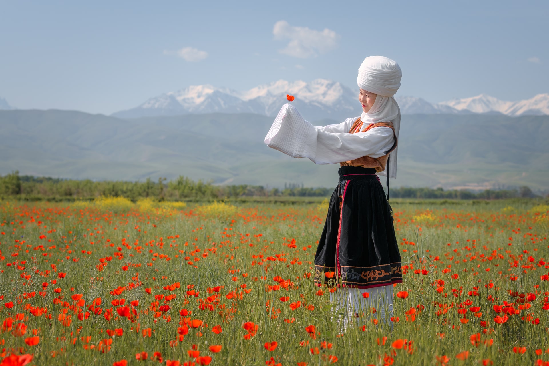 Цветение маков в Киргизии