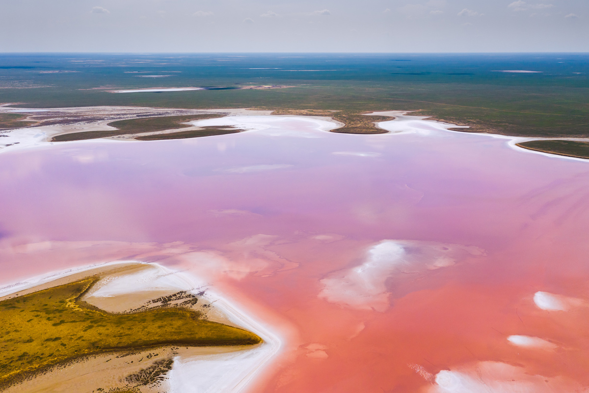 розовое озеро в Калмыкии