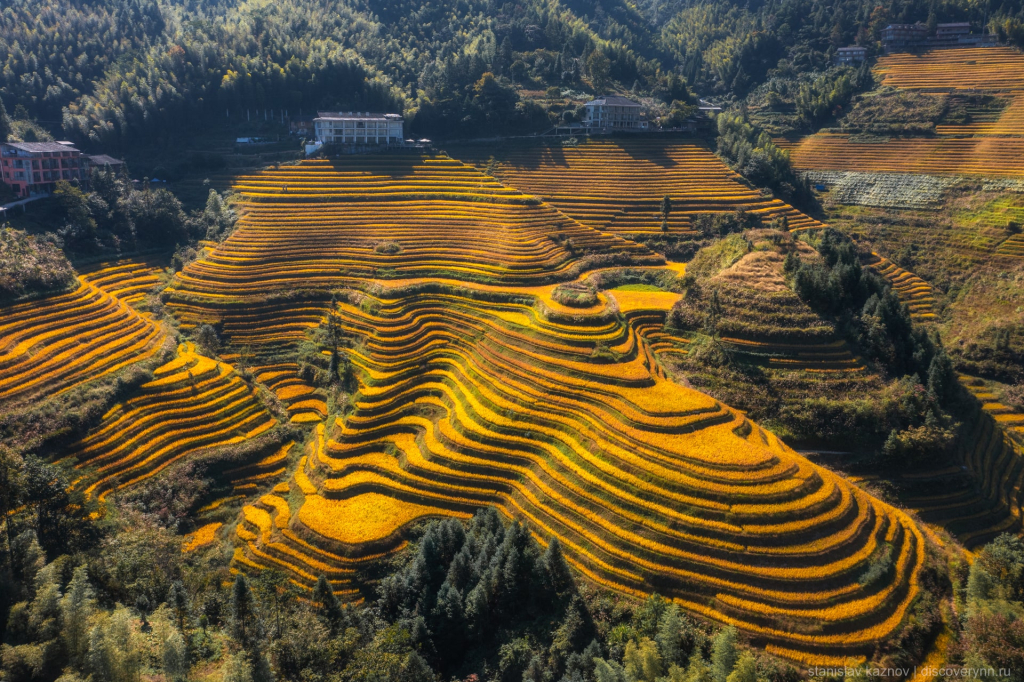 Рисовые террасы Longji в Китае