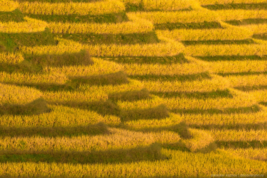Рисовые террасы Longji в Китае