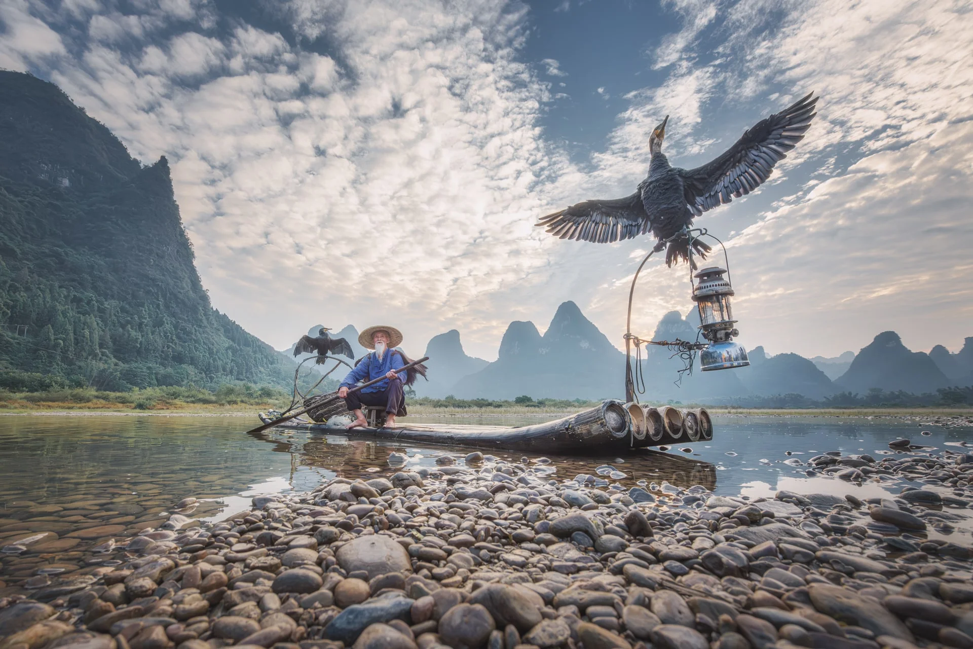 Тур в Китай, рыбак с бакланами